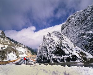 合歡瑞雪